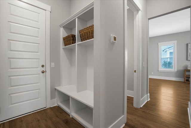 mudroom featuring dark hardwood / wood-style floors