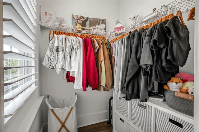 spacious closet with hardwood / wood-style flooring