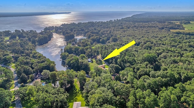 160 Broad River Dr, Santee SC, 29142 land for sale