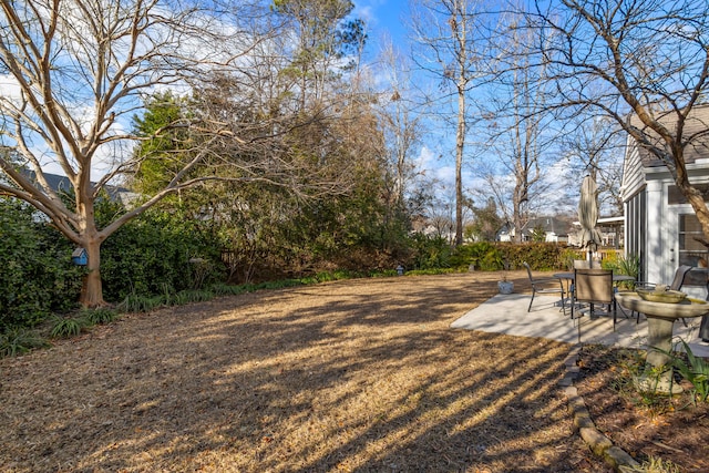 view of yard featuring a patio area