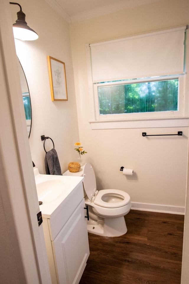 1137 Dickson Ave, Hanahan, SC 29410 - bathroom with vanity, crown molding, wood finished floors, and plenty of natural light