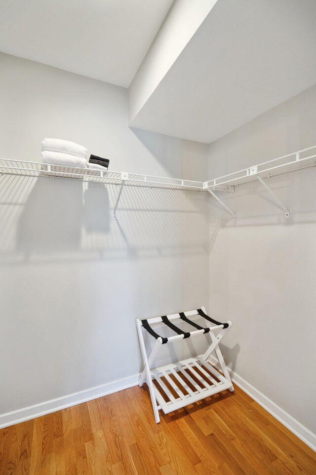 spacious closet with wood-type flooring