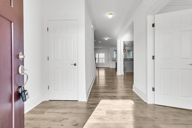 entryway featuring hardwood / wood-style flooring