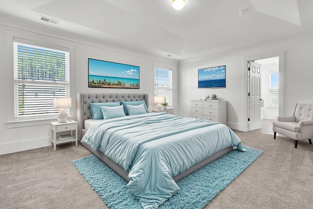 carpeted bedroom with multiple windows