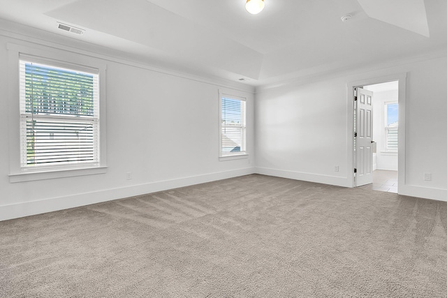 carpeted empty room with crown molding