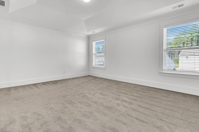 unfurnished room featuring crown molding and carpet