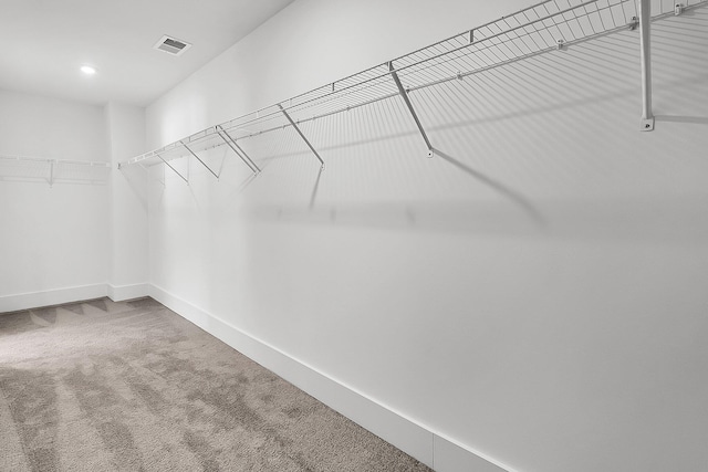 walk in closet featuring carpet floors