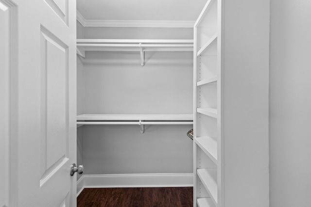 walk in closet with dark wood-type flooring