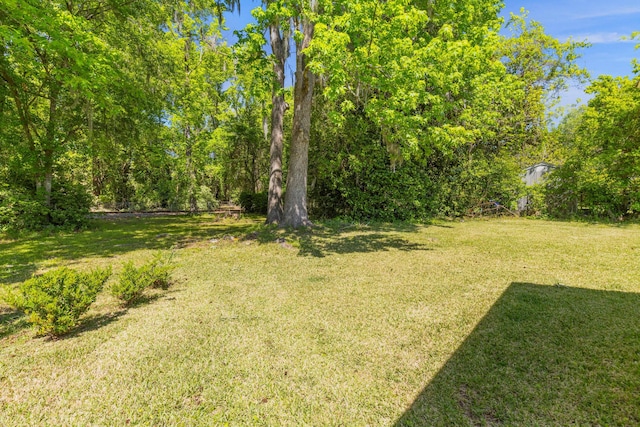 view of yard