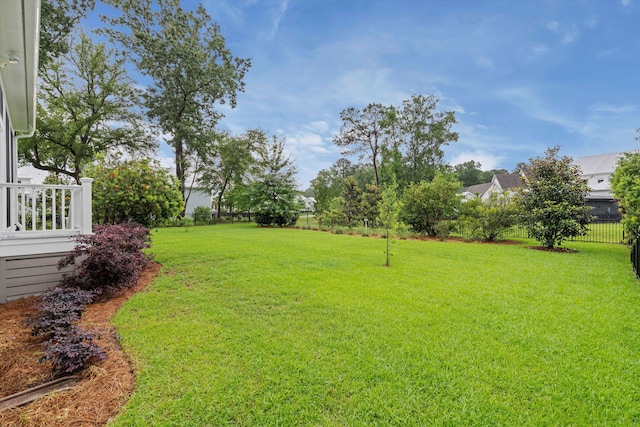 3739 Goodwater St, Mount Pleasant, SC 29466 - view of yard