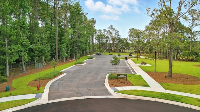 3739 Goodwater St, Mount Pleasant, SC 29466 - surrounding community with a yard, driveway, and view of scattered trees