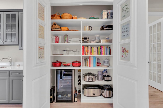 pantry with wine cooler