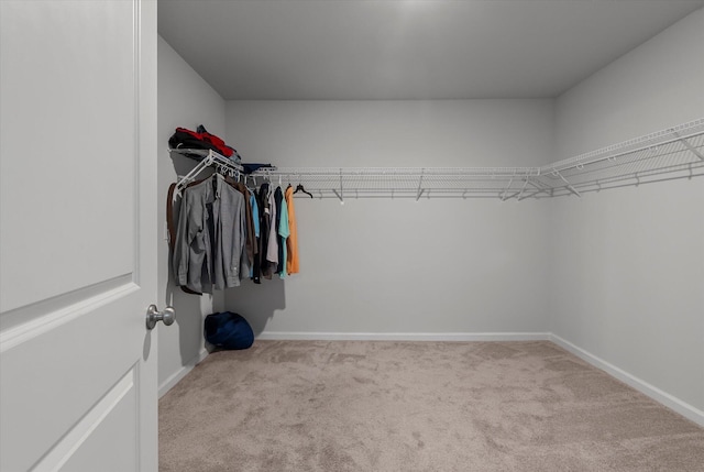 walk in closet featuring carpet