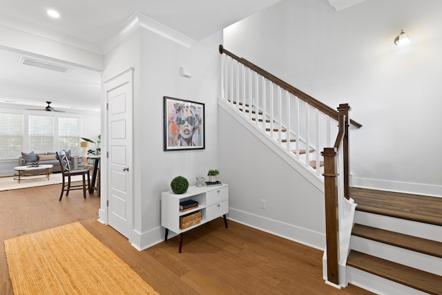 staircase with ceiling fan, wood-type flooring, and ornamental molding