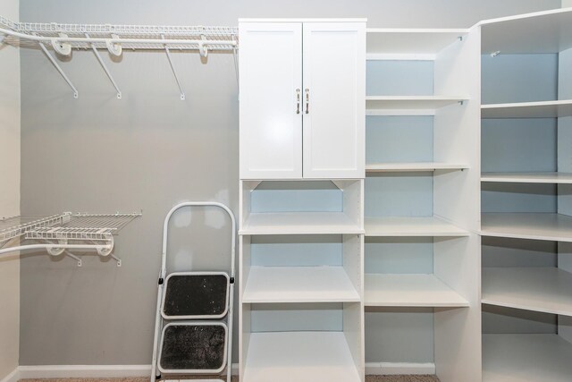 view of walk in closet