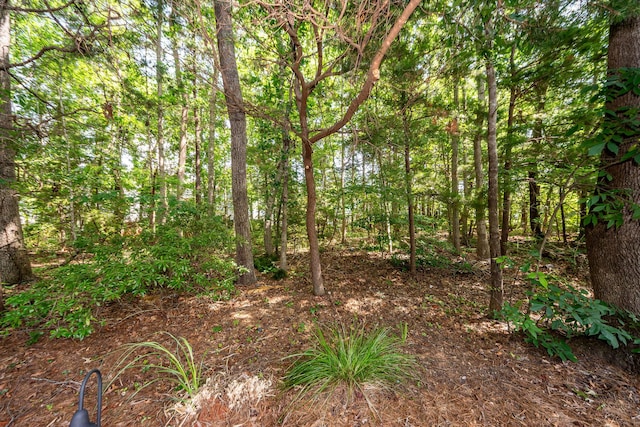 view of tree filled area