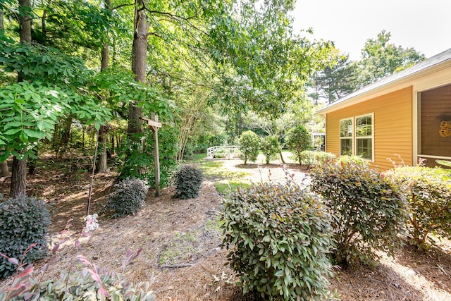 view of yard