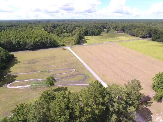 0 Hard Pinch Rd, Moncks Corner, SC 29461