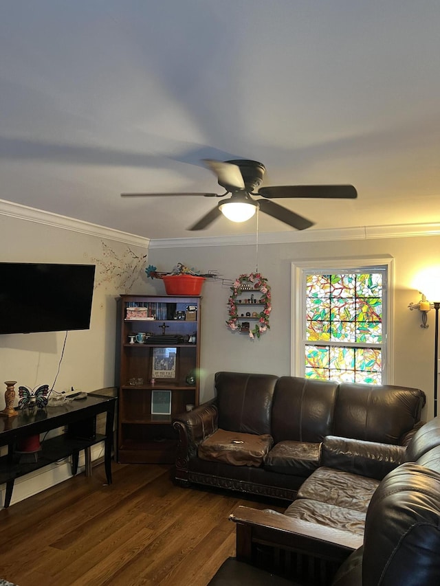 living room with hardwood / wood-style flooring, ceiling fan, and crown molding