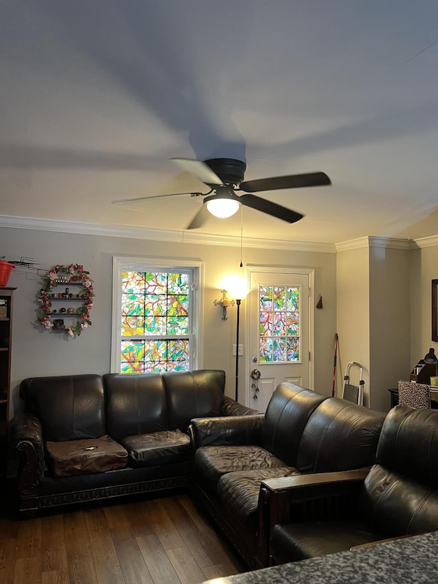 living room with wood-type flooring, ceiling fan, and ornamental molding