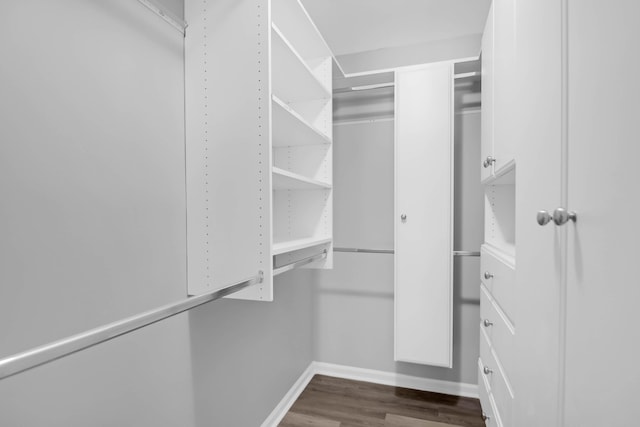 walk in closet with dark wood-style flooring