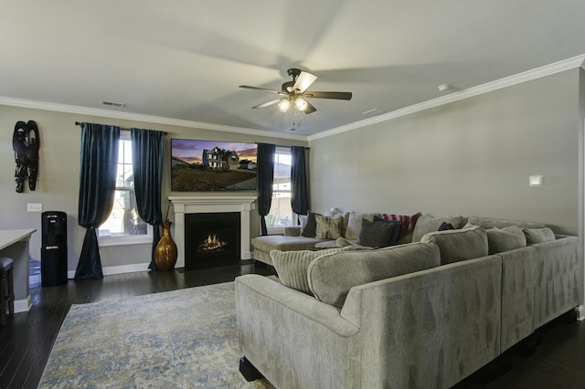 living room with ceiling fan, crown molding, and dark wood-type flooring