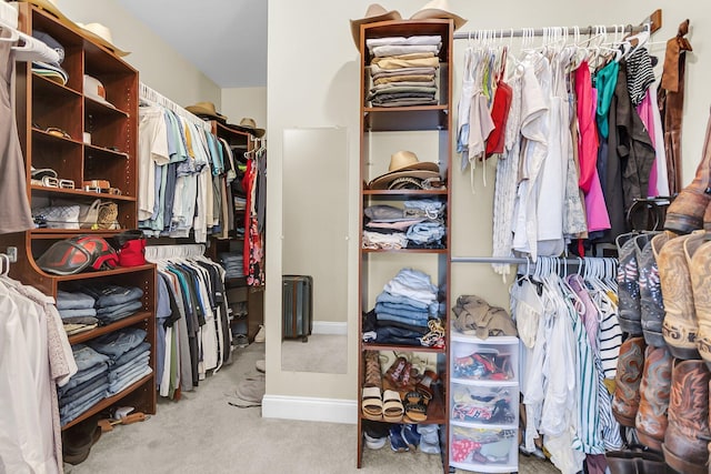 591 Two Mile Run, Johns Island, SC 29455 - walk in closet with carpet flooring