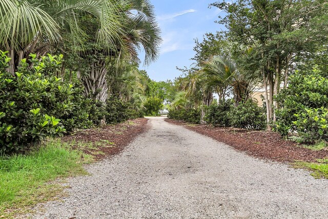 591 Two Mile Run, Johns Island, SC 29455 - view of road