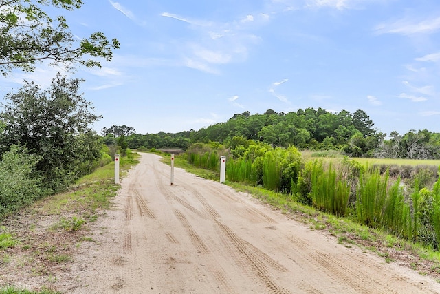 591 Two Mile Run, Johns Island, SC 29455 - view of dirt / gravel road featuring a view of trees