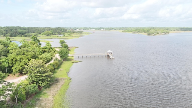 591 Two Mile Run, Johns Island, SC 29455 - drone / aerial view of a large body of water