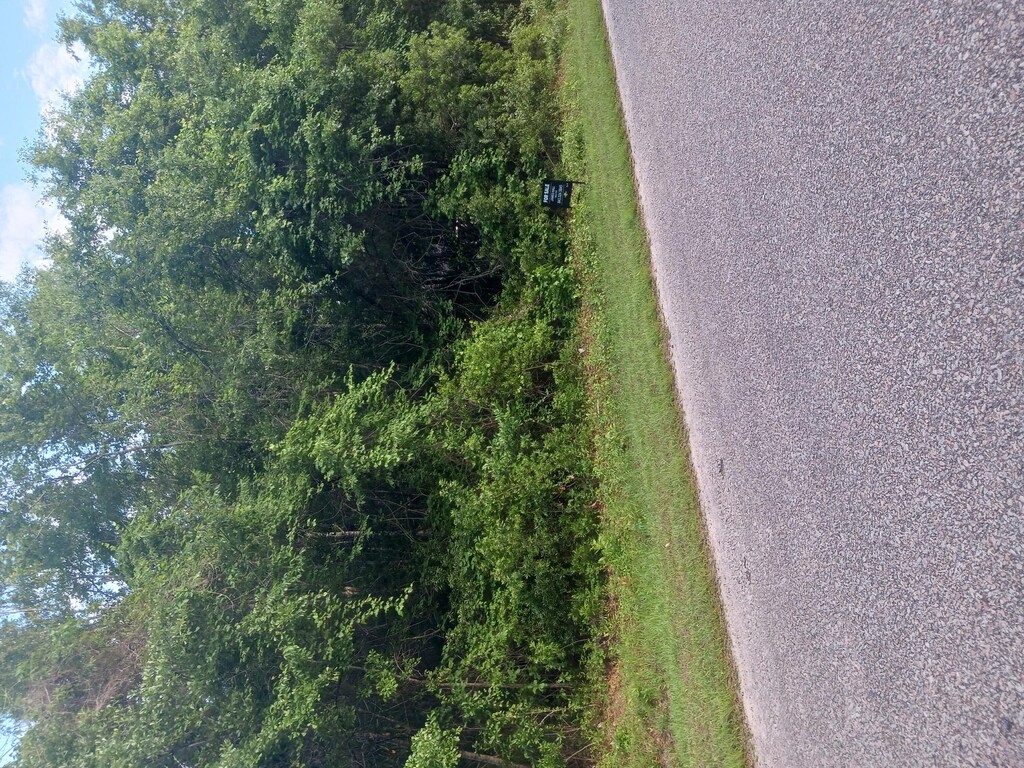 0 Fox Field Rd, Walterboro, SC 29488