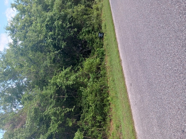 0 Fox Field Rd, Walterboro, SC 29488