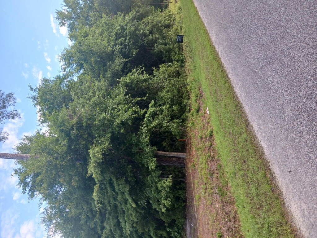 0 Fox Field Rd, Walterboro, SC 29488