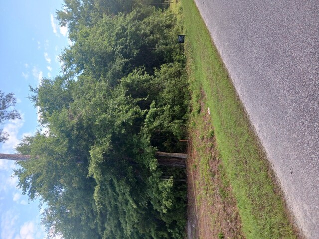 0 Fox Field Rd, Walterboro, SC 29488