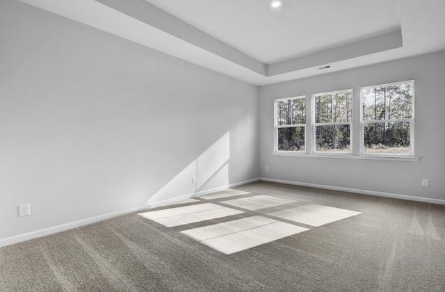 carpeted empty room with a tray ceiling