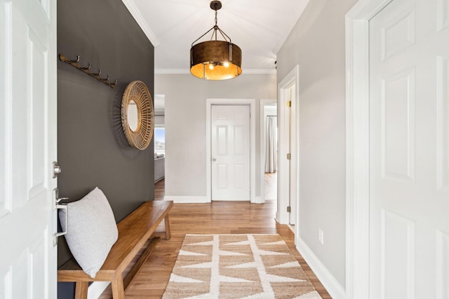 interior space with ornamental molding, light wood-type flooring, and baseboards