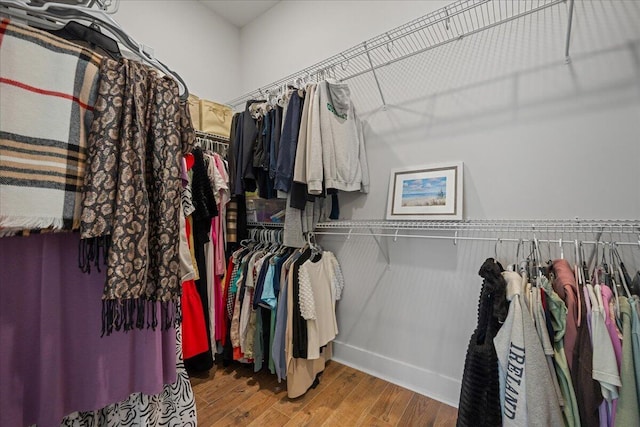 spacious closet with hardwood / wood-style flooring