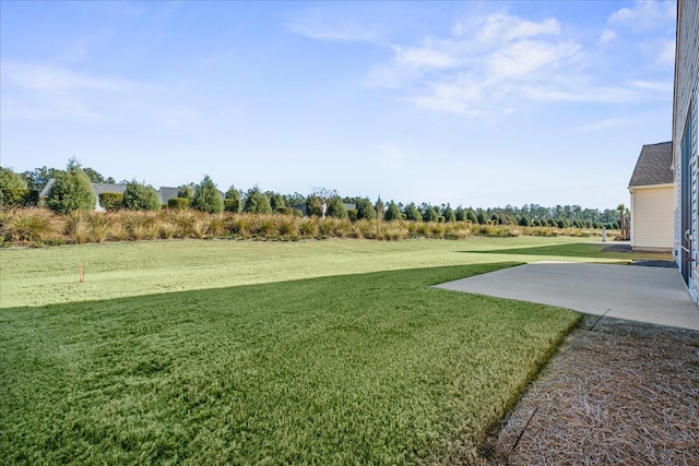 view of yard with a patio