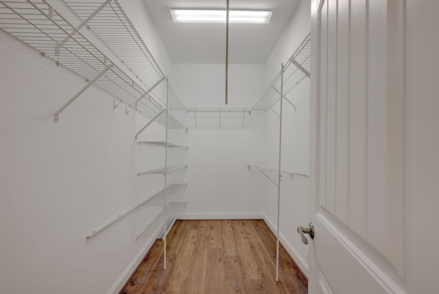 2036 Kings Gate Ln, Mount Pleasant, SC 29466 - walk in closet with light wood-style flooring