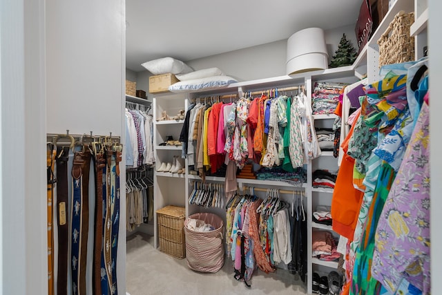 spacious closet featuring carpet flooring