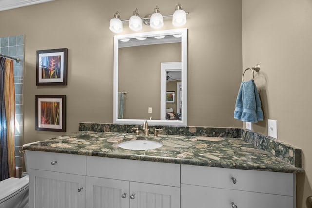 full bathroom featuring a shower with shower curtain, toilet, and vanity