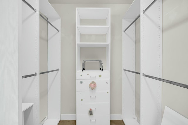 view of walk in closet