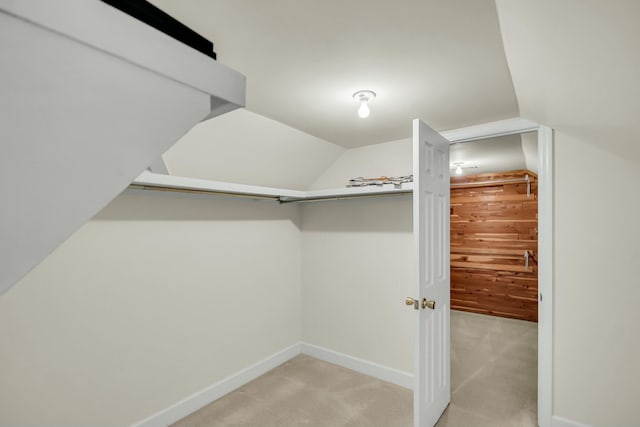 walk in closet featuring carpet flooring