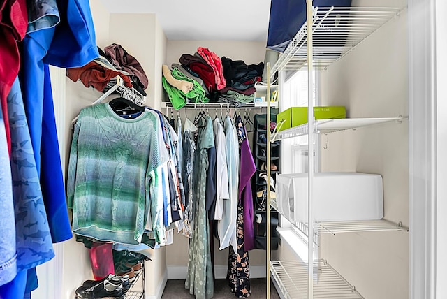 spacious closet featuring carpet floors