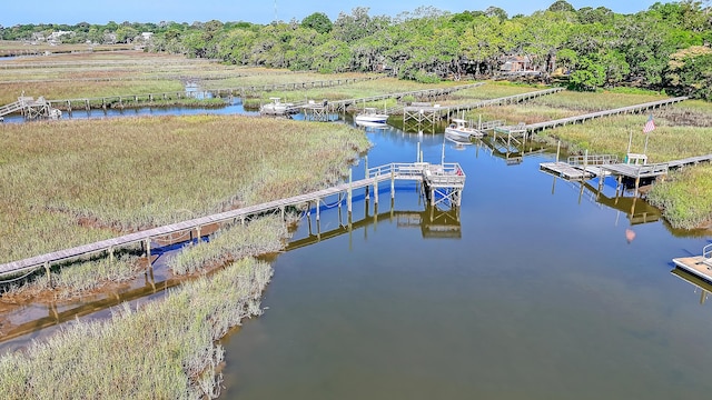 932 N Shem Dr, Mount Pleasant, SC 29464 - dock with a water view