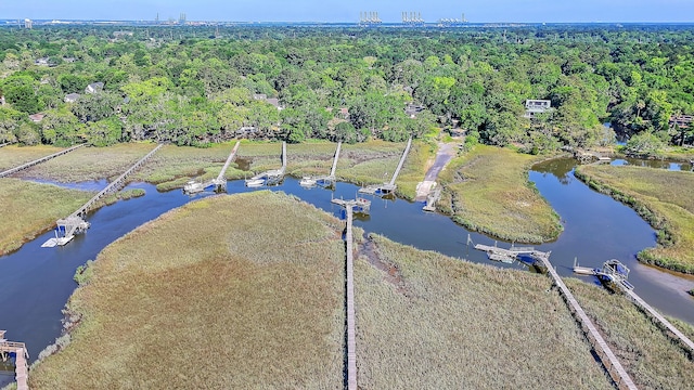 932 N Shem Dr, Mount Pleasant, SC 29464 - aerial view of property and surrounding area featuring a large body of water and a forest