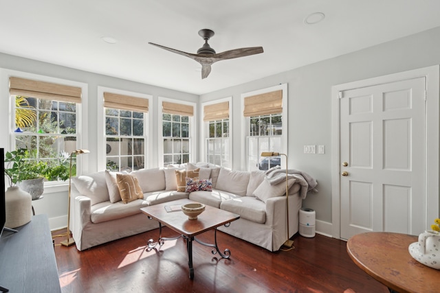 living room with plenty of natural light, dark wood-type flooring, and ceiling fan