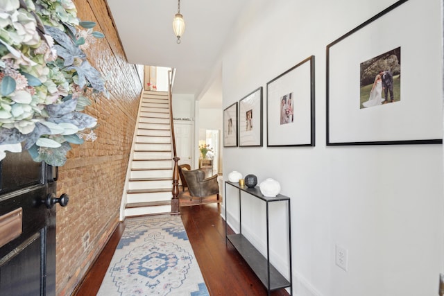 entryway with dark hardwood / wood-style floors