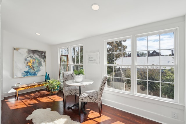 dining space with dark hardwood / wood-style floors, vaulted ceiling, and a healthy amount of sunlight