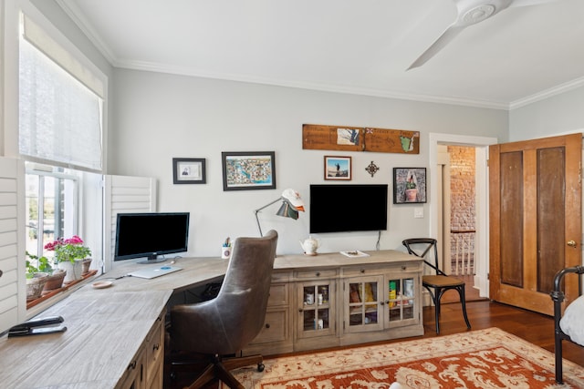 office space with ceiling fan, crown molding, and dark wood-type flooring